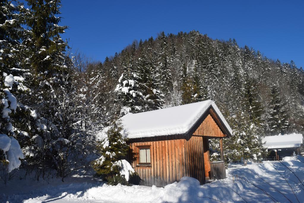 Camping Und Chalet Saggraben Palfau Extérieur photo